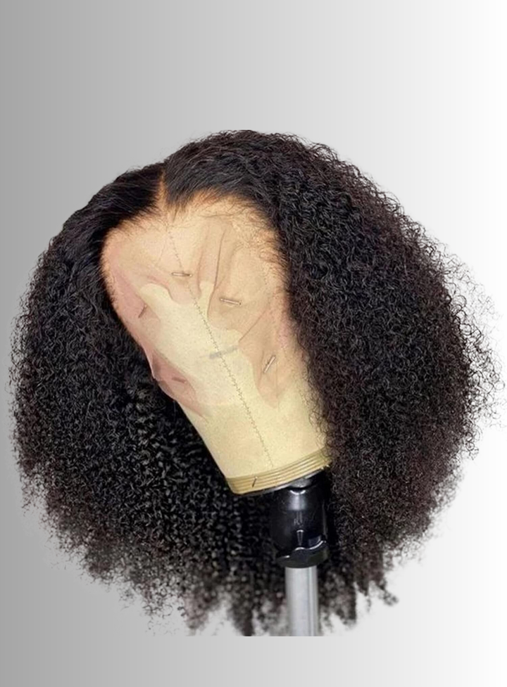 Kinky Curly Lace Wig
